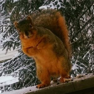 Meet your Posher, Gary